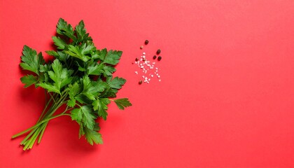 Fresh Parsley Sprigs with Salt and Pepper on Red Background.