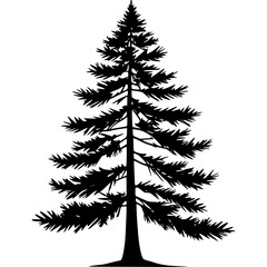 Download evergreen tree silhouette vector for christmas and winter design use
