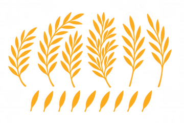 Yellow botanical leaves vector collection on transparent background, illustrating natural elements and foliage design