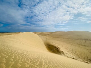 sand dunes in the desert