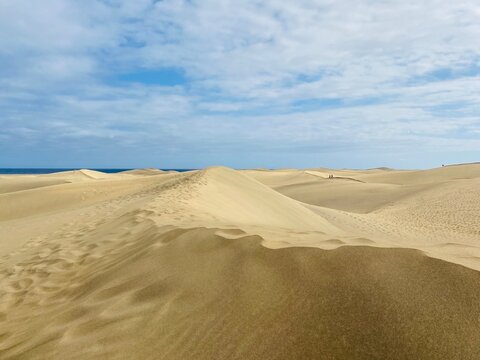 sand dunes in the desert