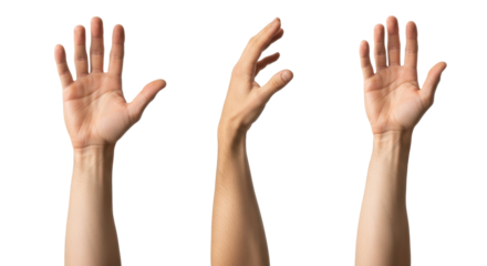 Fair-skinned adult hand and forearm in three distinct, anatomically accurate views, isolated on transparent studio background, bright clinical light. Medical anatomy reference concept