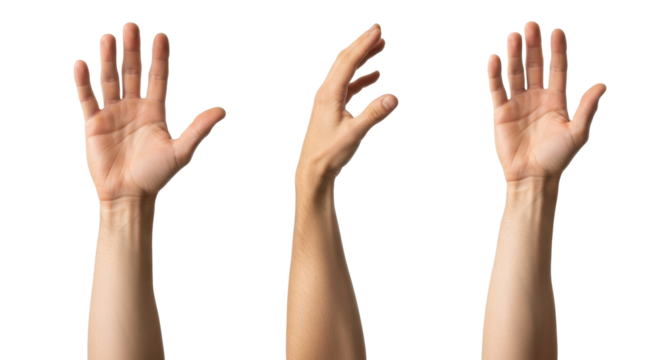 Fair-skinned adult hand and forearm in three distinct, anatomically accurate views, isolated on transparent studio background, bright clinical light. Medical anatomy reference concept