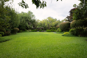 Empty outdoor space in green garden with grass lawn on ground surrounded by lush plants and trees. Represents natural scenery with fresh air suit for product display backgrounds, landscaping visuals. © DifferR