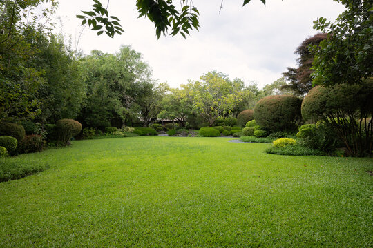 Empty outdoor space in green garden with grass lawn on ground surrounded by lush plants and trees. Represents natural scenery with fresh air suit for product display backgrounds, landscaping visuals.