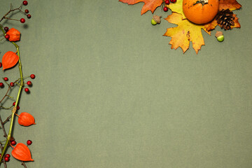 Autumnal frame on green background