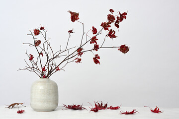 Autumnal decoration of maple branches