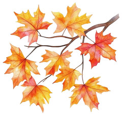 Fototapeta premium Watercolor painting of vibrant autumn maple leaves on a branch 