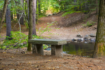 Stone bench in the forest with a pond in front of a dirt walking trail reflecting the green foliage form the leaves. Resting spot on a hiking trail