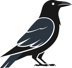 Mysterious black bird standing isolated vector illustration graphic design vector