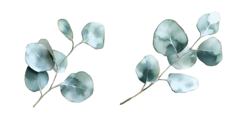 Watercolor blue eucalyptus frame, hand-painted leaves and berries, elegant border for invitations, cards, festive modern decor, contemporary winter nature background and stylish template

