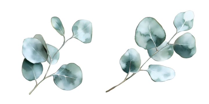 Watercolor blue eucalyptus frame, hand-painted leaves and berries, elegant border for invitations, cards, festive modern decor, contemporary winter nature background and stylish template

