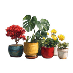 Group of potted plants in various colors and styles
