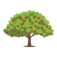 Fototapeta premium A beautiful, lush apple tree filled with ripe red apples, representing a healthy orchard and the autumn harvest season. vector illustration