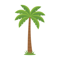 Obraz premium A tall and elegant tropical palm tree with a slender trunk and lush green fronds, perfect for summer vacation designs. vector illustration
