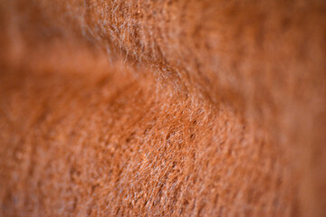 Wool Textile Surface with Soft Folds Close-Up. Detailed macro of cozy brown wool cloth showing folds and fibers for background or overlay use.