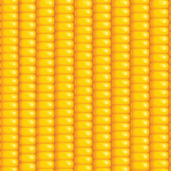 A realistic and detailed close-up texture of golden yellow corn kernels, creating a seamless background for food themes. vector illustration