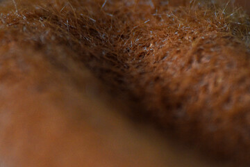 Macro Wool Fabric in Brown with Visible Fibers. High-resolution macro photo of wool textile surface with visible fiber structure and warm color.