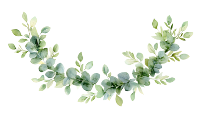 Watercolor eucalyptus branch with round green leaves, elegant botanical illustration perfect for wedding arrangements, invitation designs, natural decor, and modern floral-themed backgrounds

