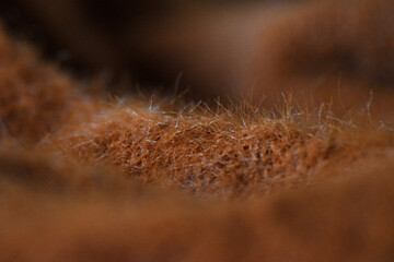 Brown Wool Material with Detailed Surface Texture. Close-up of warm brown wool fabric showing its cozy and natural textile fibers.