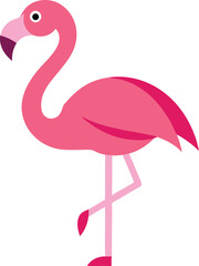 Pink flamingo vector illustration