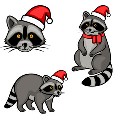 A charming vector illustration featuring three adorable raccoons in Santa hats, one a close-up face, one sitting, and one standing, showcasing a playful and festive Christmas spirit.