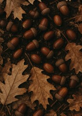 Rustic autumn acorn leaves