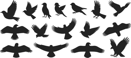 Bird silhouette vector, flying bird icons, black animal shapes, nature creature illustration, wing positions, wildlife graphic set, perched bird design, white background