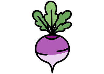 Illustration of a purple radish with green leaves on a white background