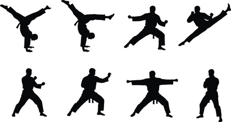 Martial arts silhouette, karate kick, kung fu pose, taekwondo stance, fighter training, combat movement, self defense practice, acrobatic jump, dynamic action, sports discipline, athlete performance,