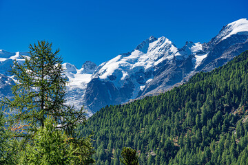 Blick auf den Piz Bernina bei klarer Bergluft