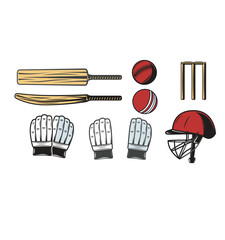 vector illustration of a cricket set
