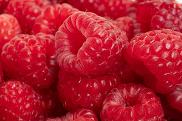 raspberries close up