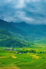 Fototapeta premium Vertical Beautiful Mountain landscape foggy windy mountain range green landscape asian farm. Vertical Amazing Landscape mountain green field meadow white cloud blue sky sunrise. Countryside scenery