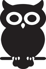 owl on white background