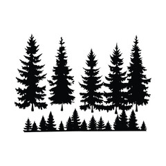 Fototapeta premium Black Coniferous Spruce and Pine Trees Silhouettes