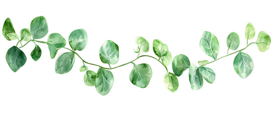 Eucalyptus branch watercolor illustration, botanical hand painted green leaves, elegant nature inspired foliage for decorative design, card or invitation

