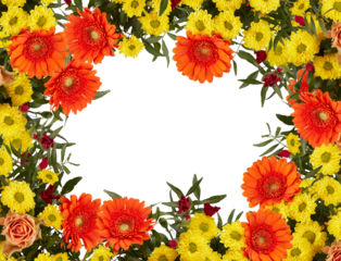 Flower frame Yellow and orange chrysanthemum bouquet with branches and leaves, top view cut out isolated transparent background