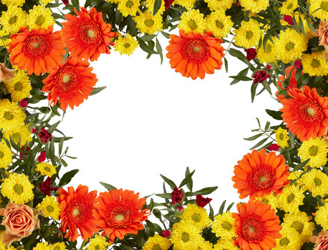 Flower frame Yellow and orange chrysanthemum bouquet with branches and leaves, top view cut out isolated transparent background - Powered by Adobe