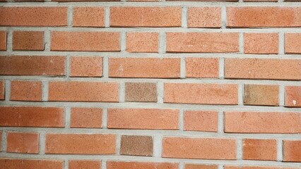 Obraz premium Flemish bond brick wall, Flemish bond brick wall texture, brick texture, simple texture, brick background