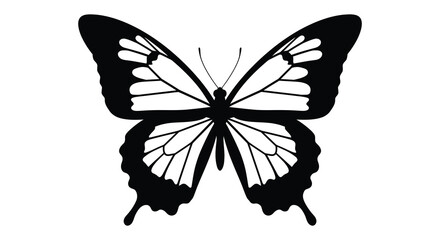 Detailed silhouette of a butterfly with intricate wing patterns and body isolated on white background