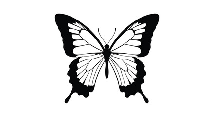 Detailed black and white butterfly illustration for nature designs and artistic projects isolated on white background