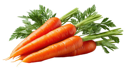 Fresh Organic Carrots with Green Tops Isolated on a White Background for Healthy Food Concept