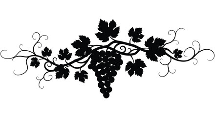 Elegant black silhouette of grapes and vine leaves decorative element for design projects isolated on white background © mrvect02