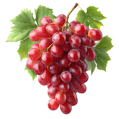 Fototapeta premium Fresh Red Grapes with Green Leaves Isolated on White Background Perfect for Food and Nutrition Themes