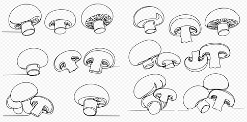 Line art illustration of various mushroom arrangements and perspectives on a transparent background.