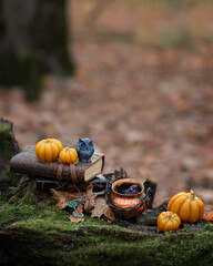 decorative pumpkins, owl figurine, spell books, copper cauldron in autumn forest, nature...