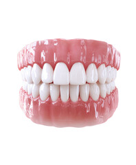 Obraz premium 3D Model of Teeth Front View on Transparent Background