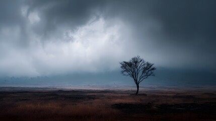 A solitary bare tree stands in a vast brown field under a dramatic moody overcast sky
