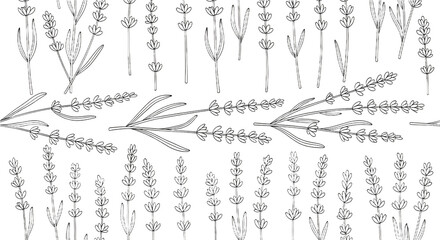 Subtle swirling floral ornament in a light grey hand-drawn sketch style. Elegant vector botanical doodle pattern with ample copy space on a white background